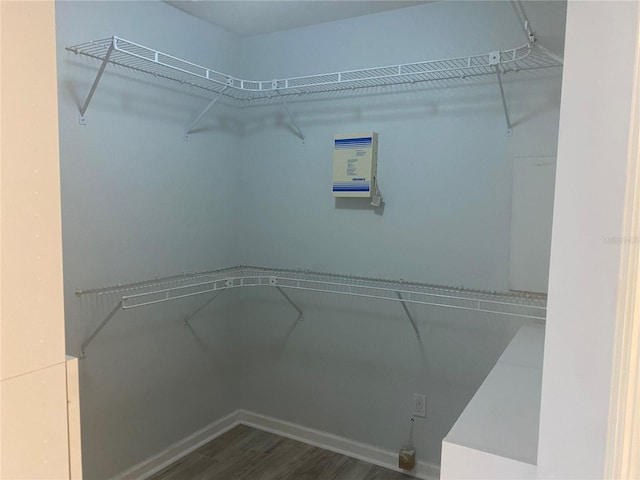 spacious closet featuring dark wood-type flooring