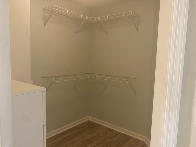 spacious closet with light wood-type flooring