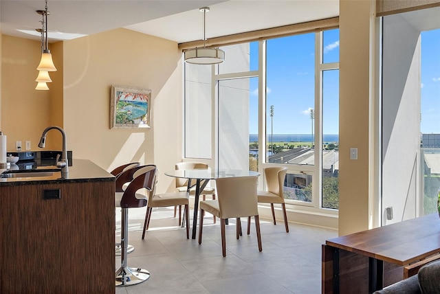 dining area with sink