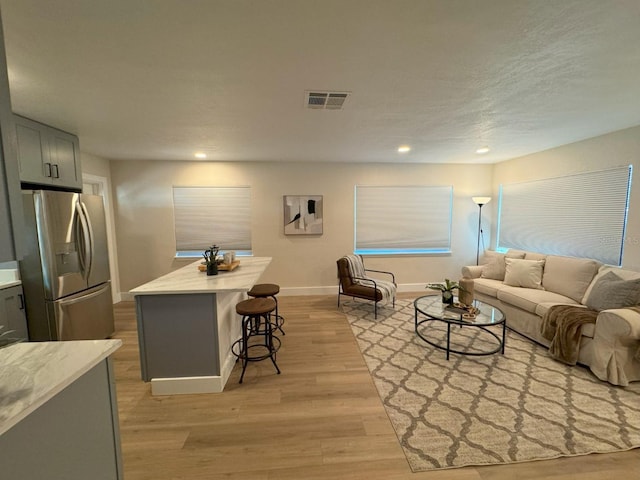 living room with light wood-type flooring