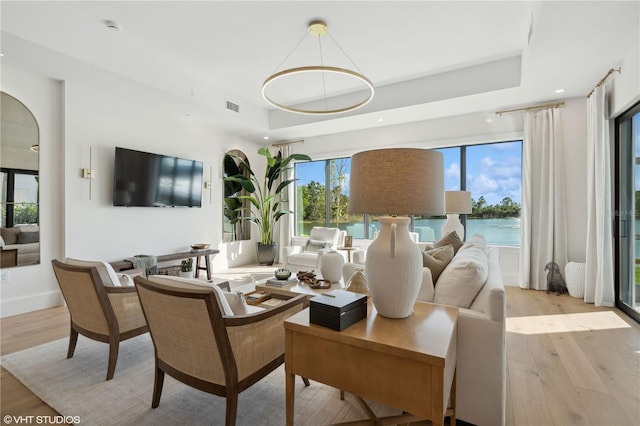 living room featuring plenty of natural light, light hardwood / wood-style floors, and a raised ceiling