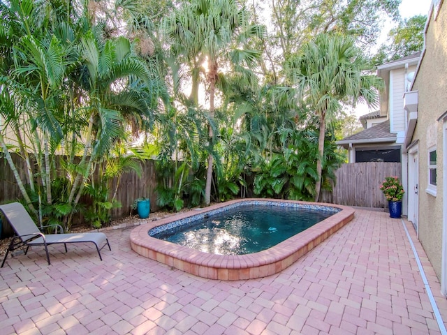 view of swimming pool with a patio