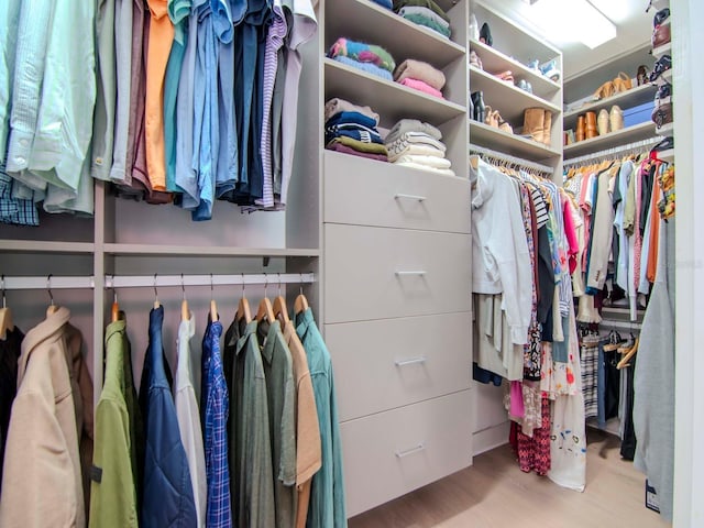 spacious closet with wood-type flooring