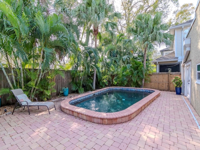 view of pool featuring a patio