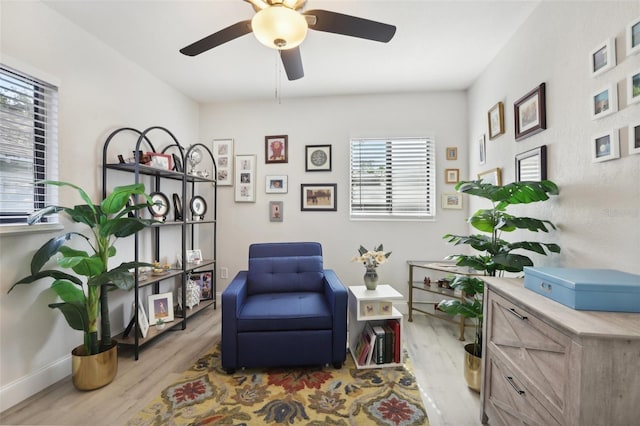 living area with ceiling fan, a healthy amount of sunlight, and light hardwood / wood-style flooring