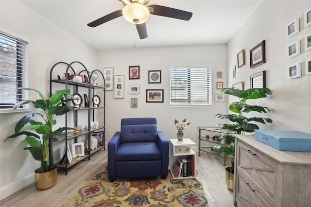 946 23rd Ave S, Saint Petersburg, FL 33705 - photo 19