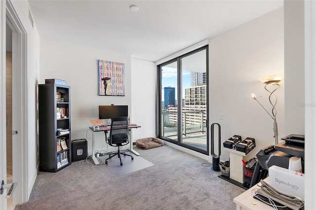 office featuring light carpet and floor to ceiling windows