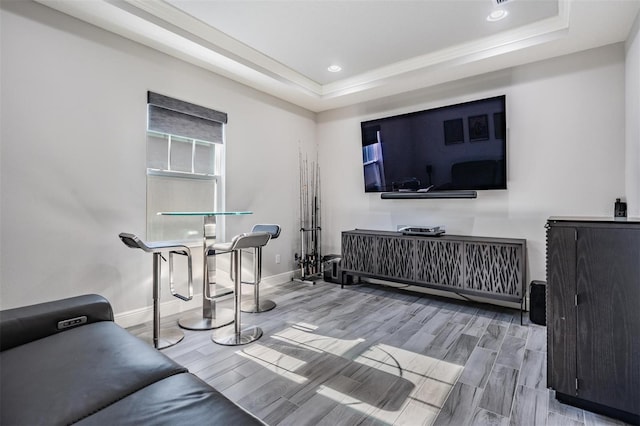 living room featuring a tray ceiling and hardwood / wood-style flooring