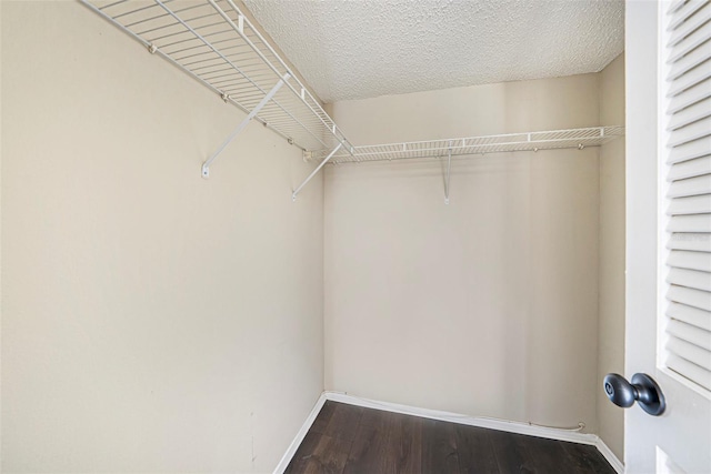 spacious closet featuring hardwood / wood-style flooring