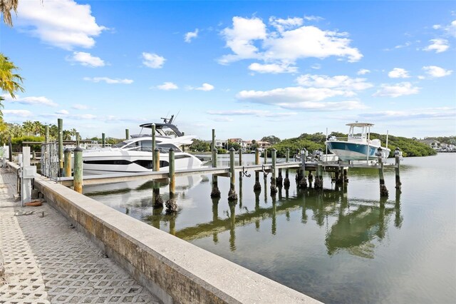 140 Brightwaters Blvd NE, Saint Petersburg, FL 33704 - photo 34