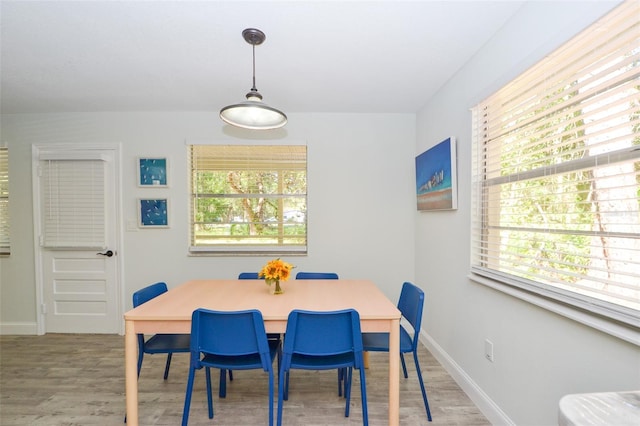 dining space featuring hardwood / wood-style flooring and a healthy amount of sunlight