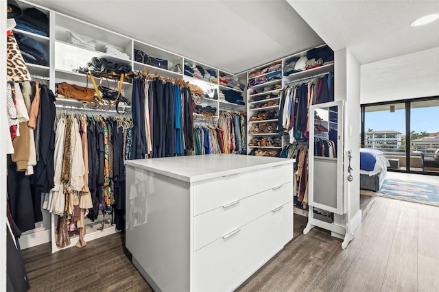 spacious closet with dark hardwood / wood-style flooring