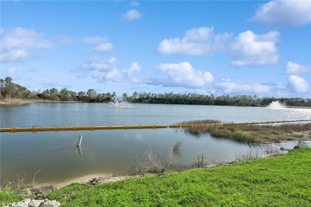 property view of water