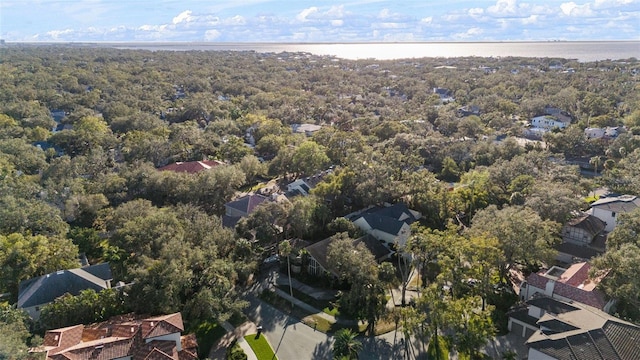 4502 W Sylvan Ramble St, Tampa, FL 33609 - photo 9