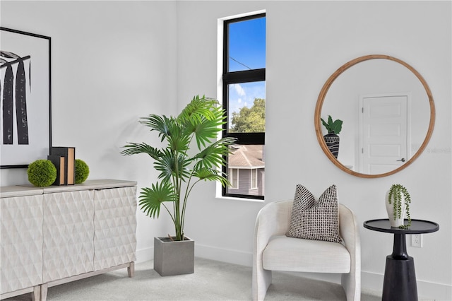 living area with carpet flooring and baseboards