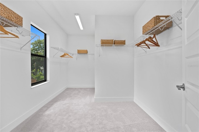 spacious closet with carpet flooring