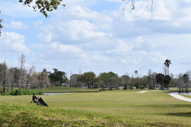 view of home's community with a lawn and a water view