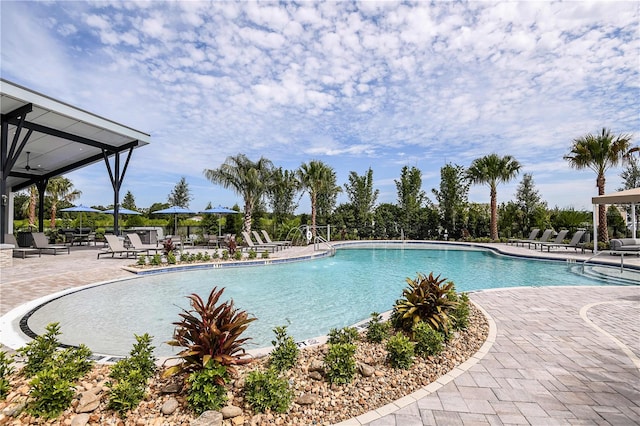 view of swimming pool with a patio