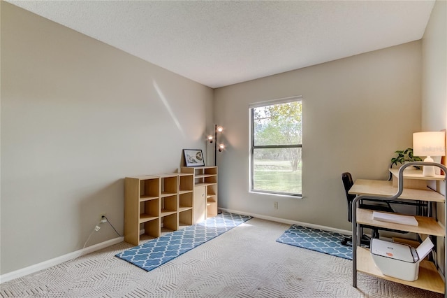 home office with a textured ceiling and light colored carpet