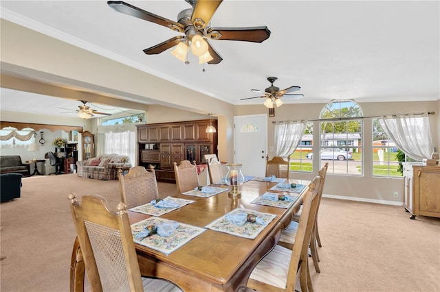 carpeted dining room with a wealth of natural light, ornamental molding, and ceiling fan