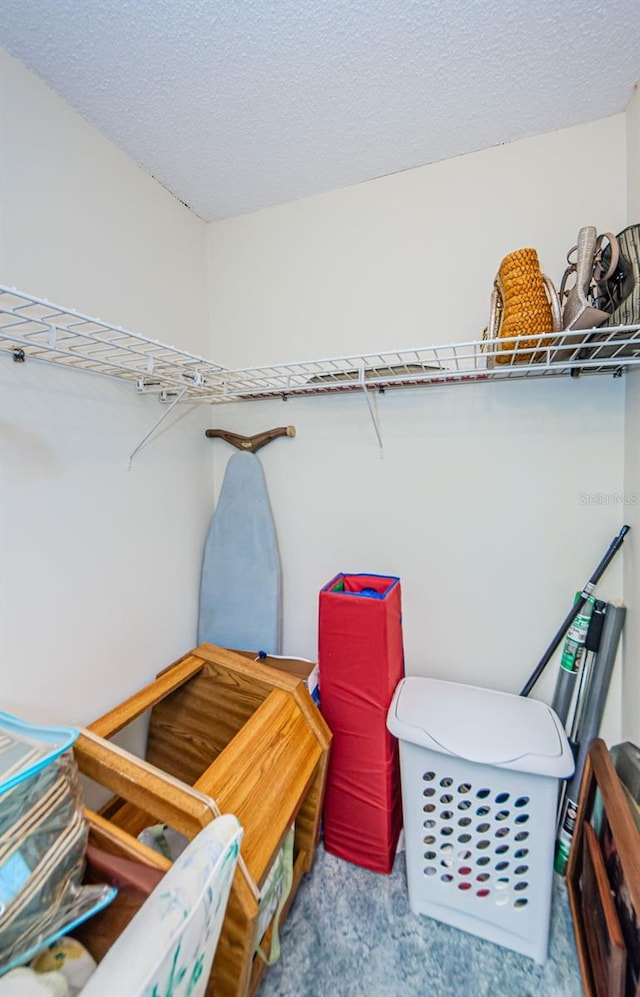 walk in closet with carpet