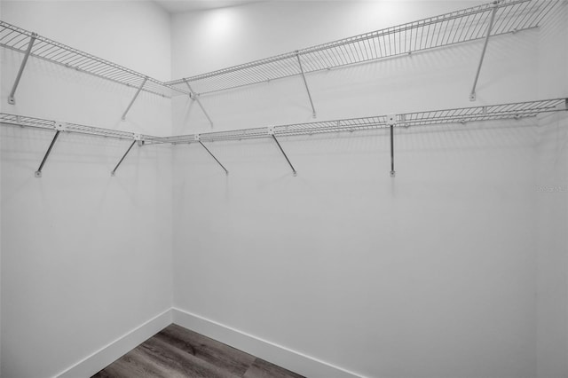 walk in closet with wood-type flooring