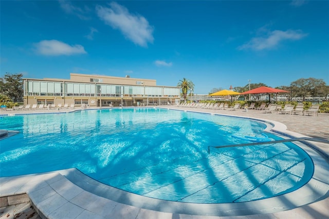 view of swimming pool with a patio