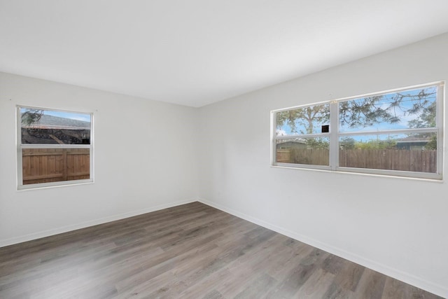 unfurnished room featuring plenty of natural light and wood-type flooring