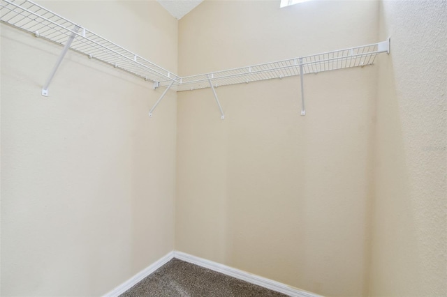 walk in closet featuring carpet flooring