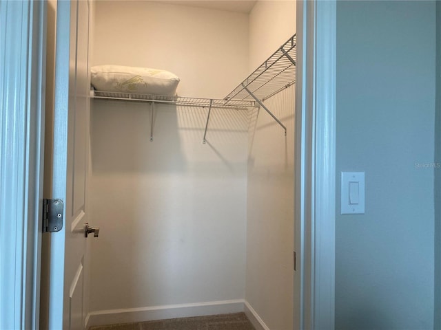 view of walk in closet