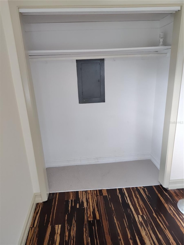 closet featuring electric panel