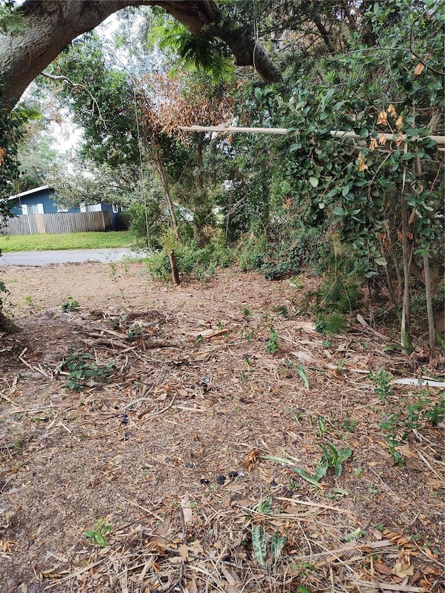 1182 Norwood Ave, Clearwater, FL 33756 - view of yard