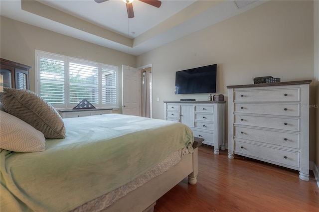 bedroom with a raised ceiling, ceiling fan, and dark hardwood / wood-style flooring