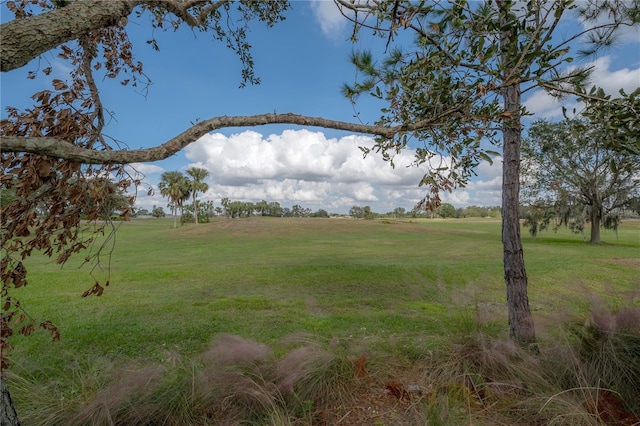 view of yard featuring a rural view