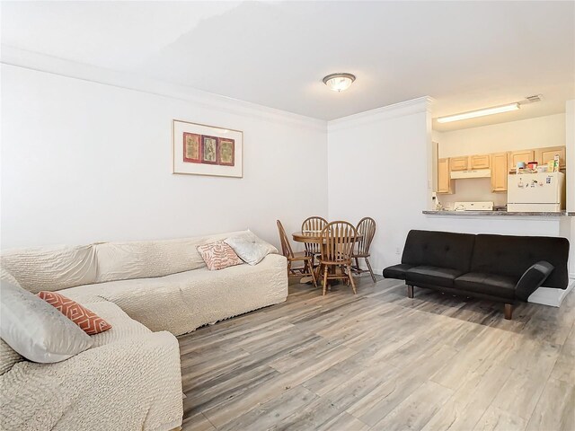 living room featuring wood-type flooring and crown molding