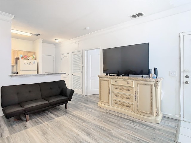 living room featuring crown molding and light hardwood / wood-style flooring