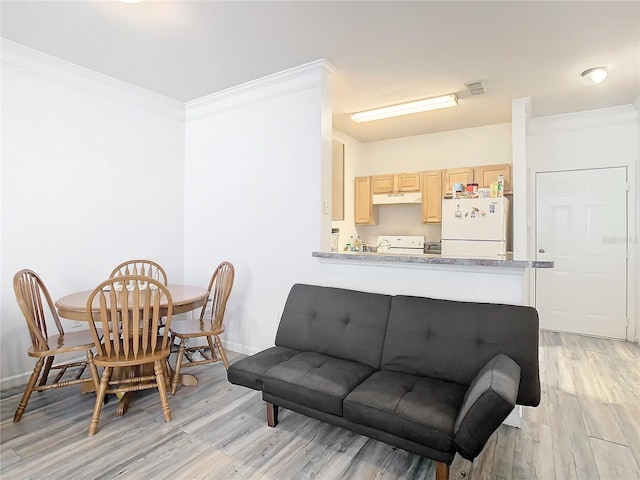 living room with light wood-type flooring and crown molding