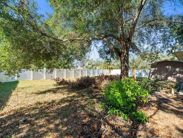 view of yard with a shed