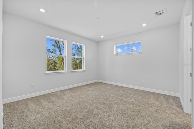 spare room featuring carpet flooring and a wealth of natural light