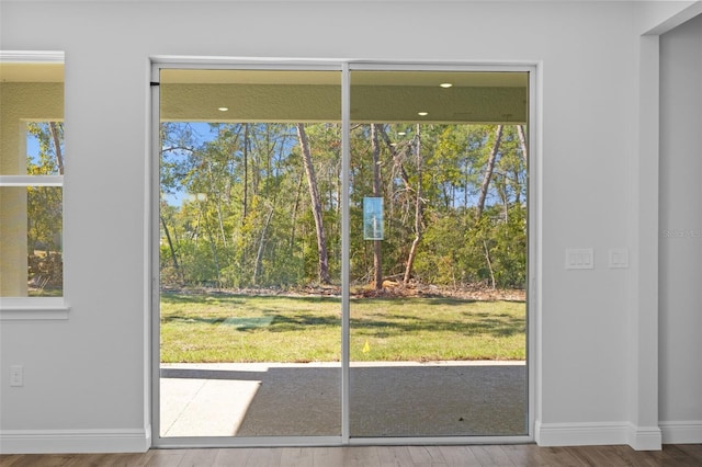 doorway to outside featuring a healthy amount of sunlight and hardwood / wood-style flooring