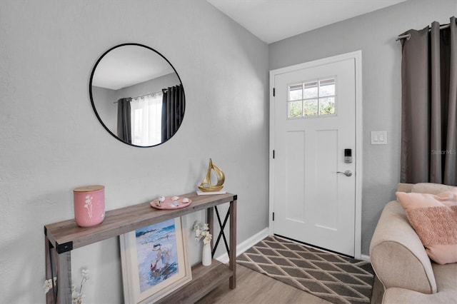 entryway featuring a wealth of natural light and light wood-type flooring