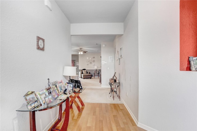 corridor with wood-type flooring