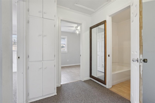 corridor featuring carpet and ornamental molding