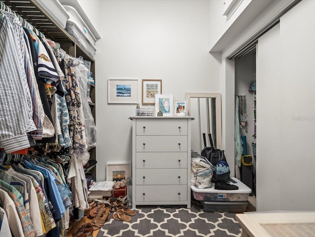 spacious closet with hardwood / wood-style floors