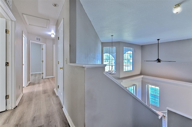 hallway featuring a healthy amount of sunlight, light wood-type flooring, and a textured ceiling