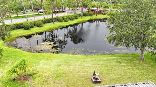 10543 Opus Dr, Riverview, FL 33579 - water view
