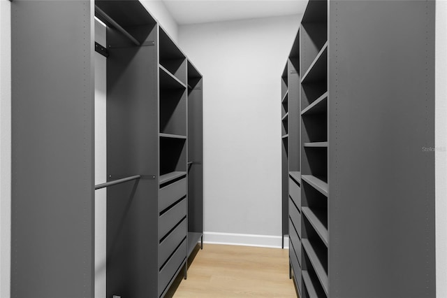 walk in closet with light hardwood / wood-style flooring