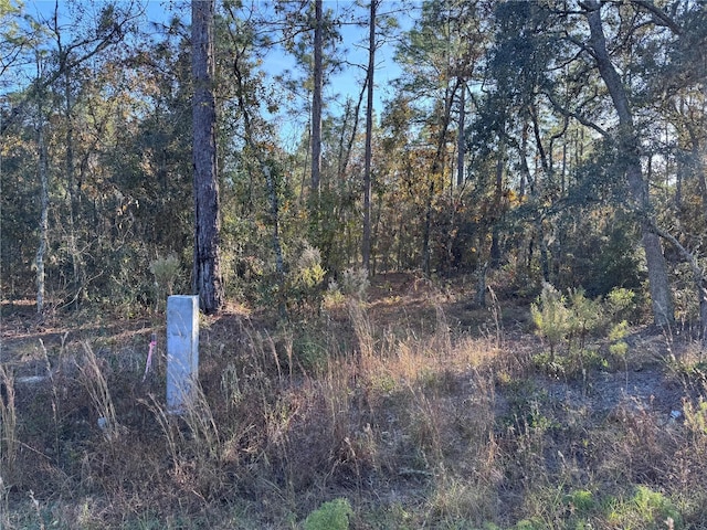 TBT SW 91st Ln, Dunnellon FL, 34432 land for sale