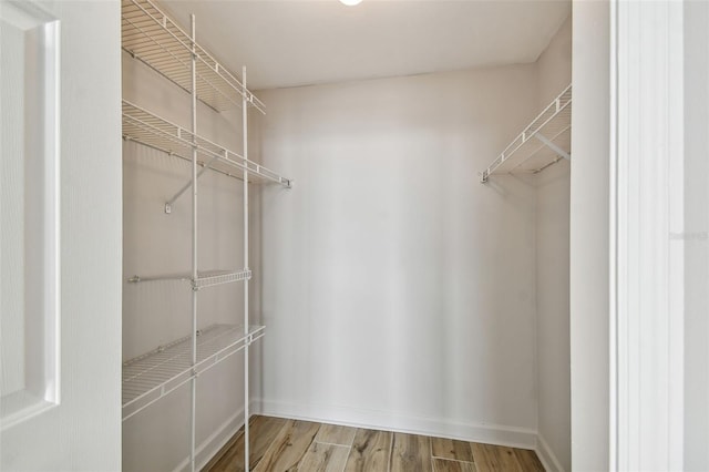 spacious closet featuring wood-type flooring