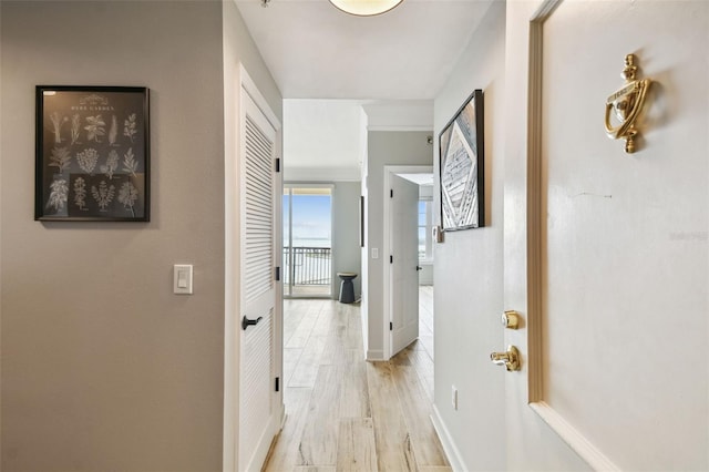 hallway featuring light wood-type flooring